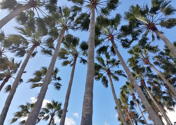 Castillo Mar- Casa Martini * Caleta De Fuste